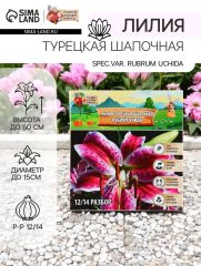 АКЦИЯ! 3 по цене 2! Лилия Турецкая шапочная 