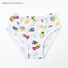 741288 Трусы для девочки, цвет МИКС, рост 98-104 см (56)