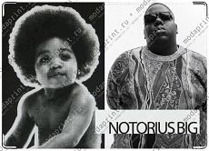 NOTORIUS BIG