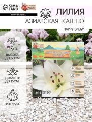 АКЦИЯ! 3 по цене 2! Лилия Азиатская Кашпо Happy Snow, луковица в пакете с перфорацией, р-р 12/14, 2 шт