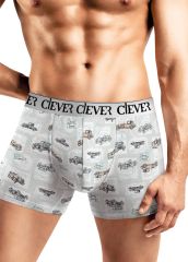 505677 CLEVER Трусы св.серый/св.зелёный