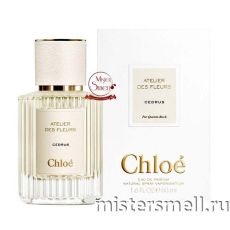Высокого качества Chloe - Atelier Des Fleurs Cedrus 50 ml