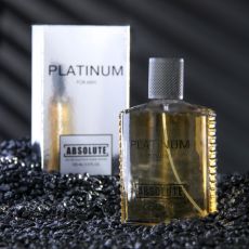 Туалетная вода мужская Absolute Platinum, 100 мл 2154675