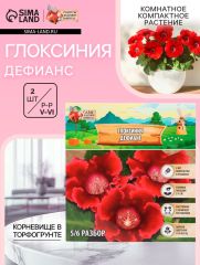 АКЦИЯ! 3 по цене 2! Глоксиния «Дефианс» многолетник, комнатный, луковица в пакете с перфорацией, р-р 5/6, 2 шт