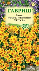 Бархатцы Урсула Гавриш