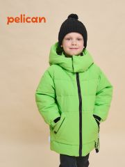 BZXZ3362/12 PELICAN Куртка Зеленый
