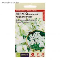 5486150 Семена цветов Левкой Кац 