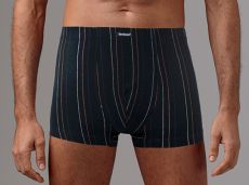 Трусы мужские GS5017 шорты Gentlemen