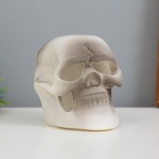 Фигурка светящаяся RISALUX «Череп», LED-ночник, 2 Вт, LR44 5×7.5×7 см