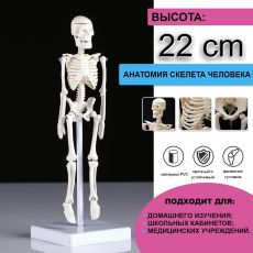 5076756 Макет 