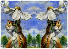 Кот и ангел