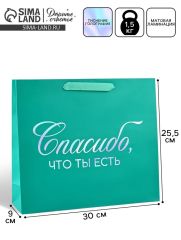 АКЦИЯ! ЦЕНА ЗА 3 ШТ! Пакет подарочный «Спасибо, что ты есть», голография, M 30 х 9 х 26 см