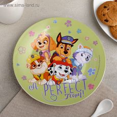 4834621 Тарелка 19 см "Щенячий патруль"
