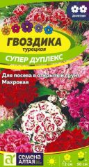 Гвоздика Турецкая Супер Дуплекс