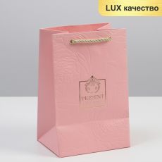 7360947 Пакет ламинированный «Present for you», 15 × 23 × 11,5 см