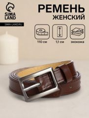 Ремень женский тонкий, 110×1.1 см, классическая пряжка металл, тёмно-серебристая, коричневый