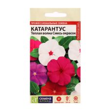 ЦЕНА ЗА 2 ШТ! 7649633 Семена цветов Катарантус 