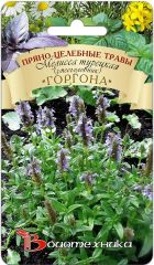 Мелисса турецкая (змееголовник) Горгона
