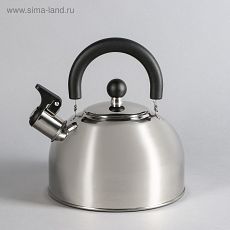 4921664 Чайник со свистком, 2,5 л