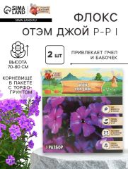 Флокс «Отэм Джой» корневище в пакете с торфогрунтом, р-р I, 2 шт