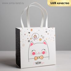 4131807 Пакет подарочный «Котик», 20 × 20 × 10 см