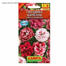 ЦЕНА ЗА 2 ШТ! 1314032 Семена цветов Гвоздика 