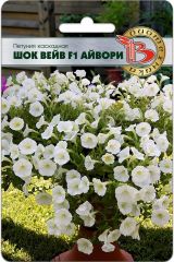 Петуния каскадная Шок Вейв F1 Айвори