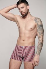 199107 DiWaRi Трусы grey-bordo