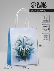 АКЦИЯ! ЦЕНА ЗА 3 ШТ! Пакет подарочный крафтовый «Самой нежной» 15×12×6 см, 120 г/м²