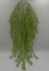 Куст бамбук мелколистовой ампельный 