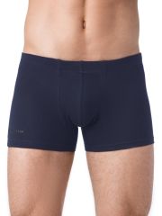 197298 БРЕСТСКИЕ Трусы navy