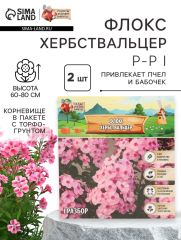 АКЦИЯ! 3 по цене 2! Флокс «Хербствальцер» корневище в пакете с торфогрунтом, р-р I, 2 шт