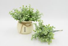 Срез самшит с напылением 