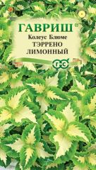 Колеус Тэррено Лимонный Гавриш