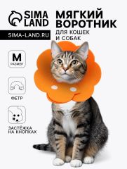 Ветеринарный воротник из фетра 