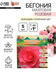Бегония махровая «Розовая», луковицы, р-р 4/5, 5 шт
