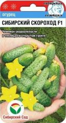 Огурец Сибирский Скороход F1 Сиб.Са
