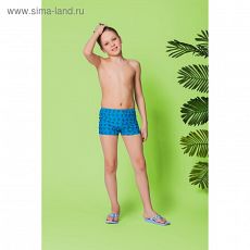 3132172 Трусы купальные для мальчика "Ящер", рост 140-146 см (10-11 лет), вид 1, цвет синий