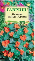 Настурция Бейби Салмон Гавриш