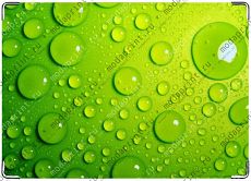 Bubbles