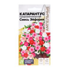 2858856 Семена комнатных цветов Катарантус 
