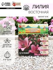АКЦИЯ! 3 по цене 2! Лилия Восточная «Маунт Кук», луковица в пакете с перфорацией, р-р 12/14, 3 шт