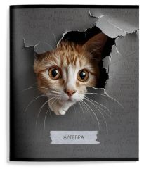 Тетрадь 48 л.Алгебра А5 клетка,ЛЮБОПЫТНЫЙ КОТИК Schoolformat