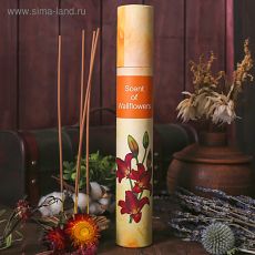 3778050 Благовония "Scent of Wallflowers" 40 шт Ладан