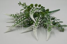 Куст самшит с закругл. соцв. вереск. 