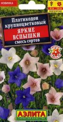 Платикодон Яркие Вспышки
