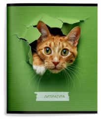 Тетрадь 48 л.Литература А5 линия,ЛЮБОПЫТНЫЙ КОТИК Schoolformat