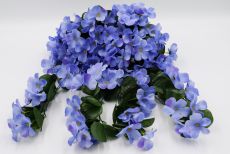Куст фиалка ампельная 