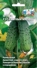 Огурец Сахарный Малыш F1 СеДек