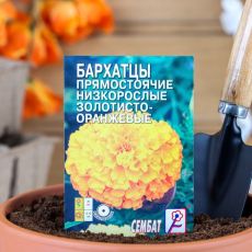 4662875 Семена цветов Бархатцы прямостоячий низкорослый золотисто-оранжевый, О, 0,1 г